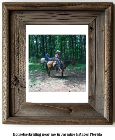 horseback riding near me in Jasmine Estates, Florida